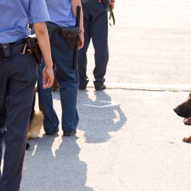 Dog Handlers in Northamptonshire: Zahra Security